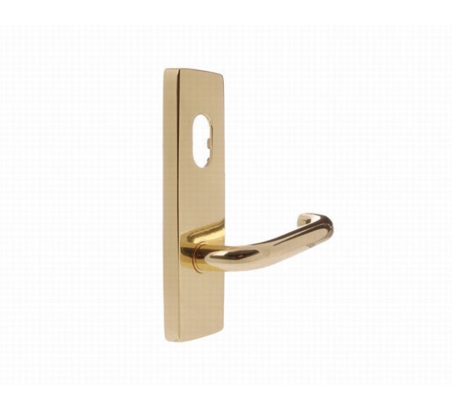 Lever Handle On Plate